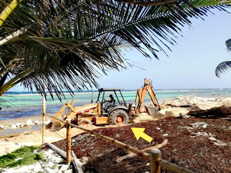 Ocasionan terrible daño ecológico en Mahahual