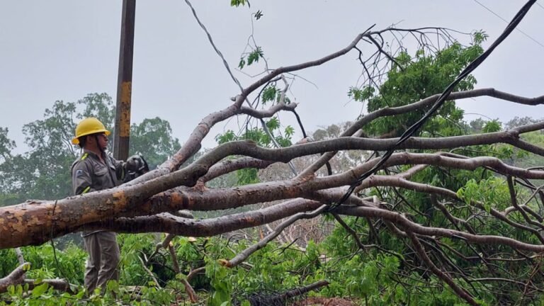 CFE restablece al 80.5 % suministro en estados afectados por la tormenta tropical Dolores