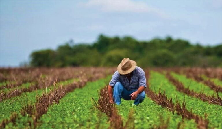 Comisionada de Florida promete defender a agricultores hispanos en desventaja