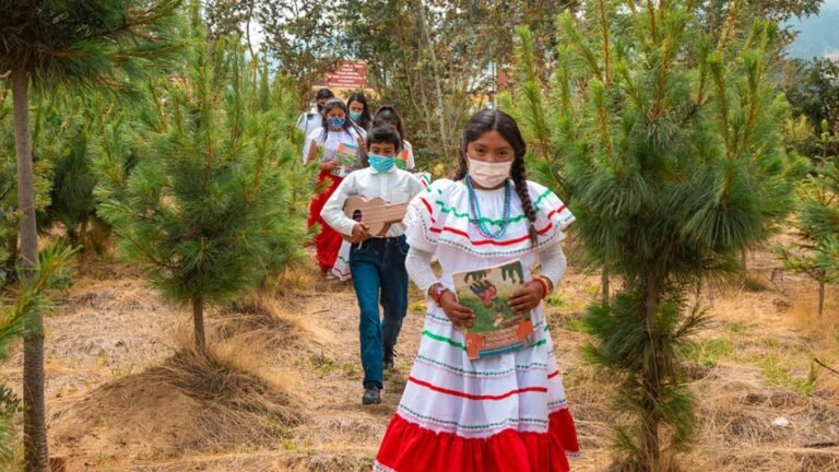 Conafe refuerza servicios educativos para menores en zonas marginadas