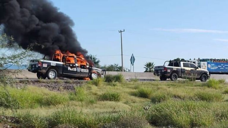 Enfrentamiento en Sonora deja 4 sicarios abatidos y 2 policías heridos