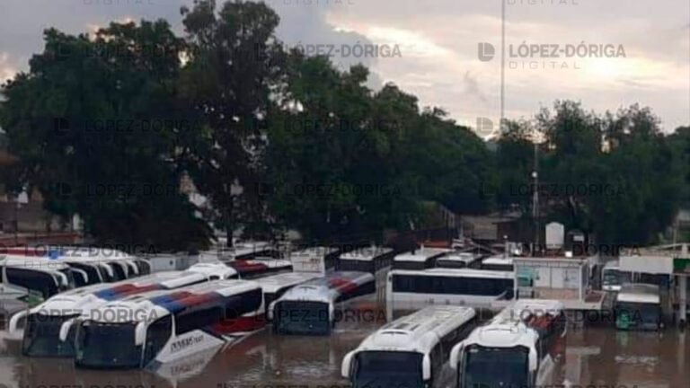 #Video Suman 17 muertos por inundación en hospital del IMSS en Tula, Hidalgo