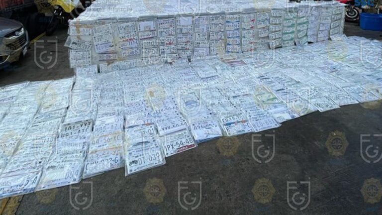 Vinculan a proceso en CDMX a cinco detenidos por falsificación de placas vehiculares