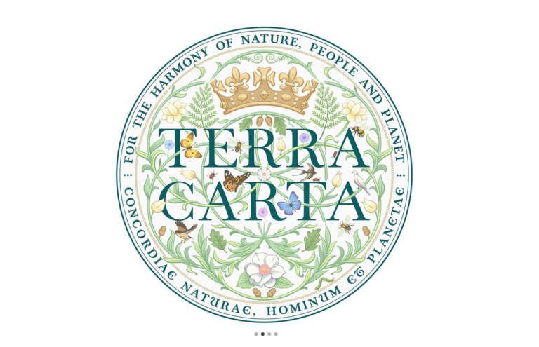 Conoce las empresas que recibieron el sello Terra Carta del príncipe Carlos