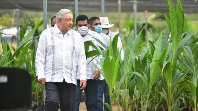 López Obrador niega que sus hijos se beneficien de Sembrando Vida