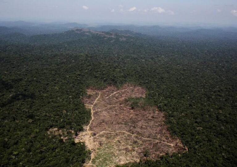 Brasil suspende permisos para explorar oro en áreas preservadas de Amazonía