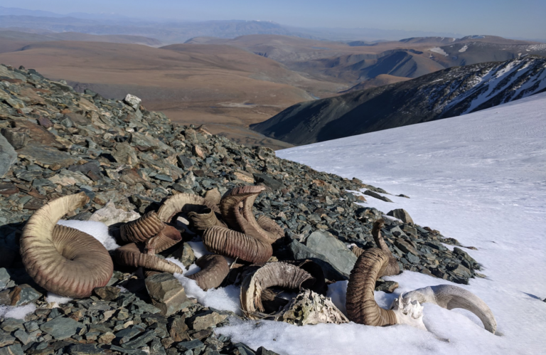 Selección 2021 | Derretimientos en Mongolia revelan restos de cómo se vivía en la edad de bronce