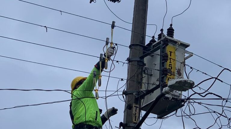 Reforma Eléctrica es “radical”, destaca Gutiérrez Luna