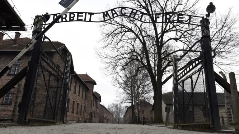 Unesco utiliza TikTok para combatir desinformación sobre el Holocausto