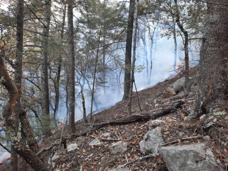 Incendio en Sierra de Santiago, Nuevo León, controlado al 80 por ciento