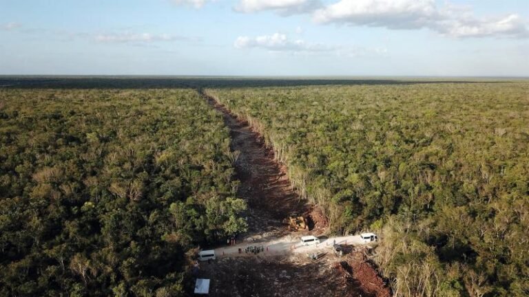 Rechaza AMLO acercamiento con críticos del Tren Maya; “que hablen con los campesinos”, dijo