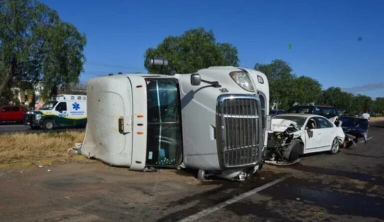 Burro provoca choque múltiple en carretera de Aguascalientes