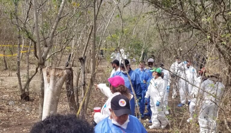 Descubren seis cadáveres en fosas clandestinas en Zitácuaro, en Michoacán