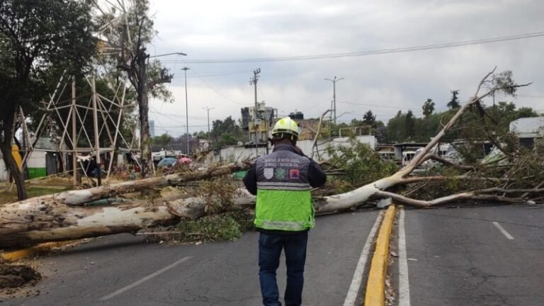 Al menos dos lesionados por vientos fuertes en CDMX; 12 alcaldías en alerta