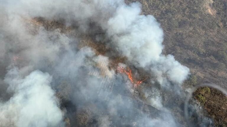 Activan Alerta Atmosférica en Zapopan y Guadalajara por incendio forestal