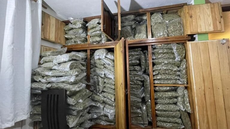 Aseguran en Tlalpan e Iztapalapa más de 300 dosis de cocaína y 210 kg de mariguana