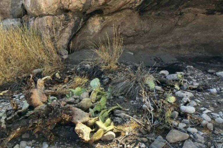 Autoridades mexicanas interponen demanda por saqueo en sitio arqueológico de Coahuila