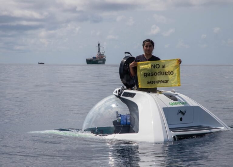 Greenpeace urge al gobierno proteger arrecifes descubiertos en el Golfo de México