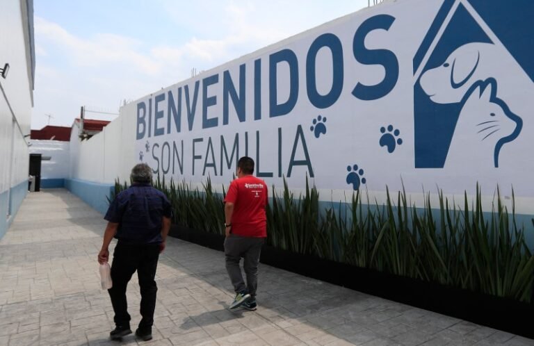 Inauguran en México el primer hotel para perros y gatos abandonados