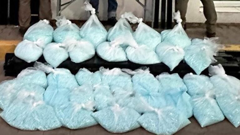 Descubren en Sinaloa más de 2 millones de pastillas de fentanilo