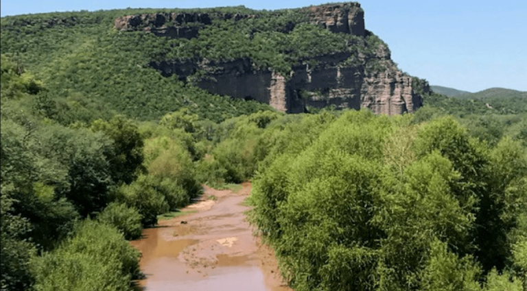 Gobierno mexicano denuncia riesgos a la salud por derrame de minera en el río Sonora