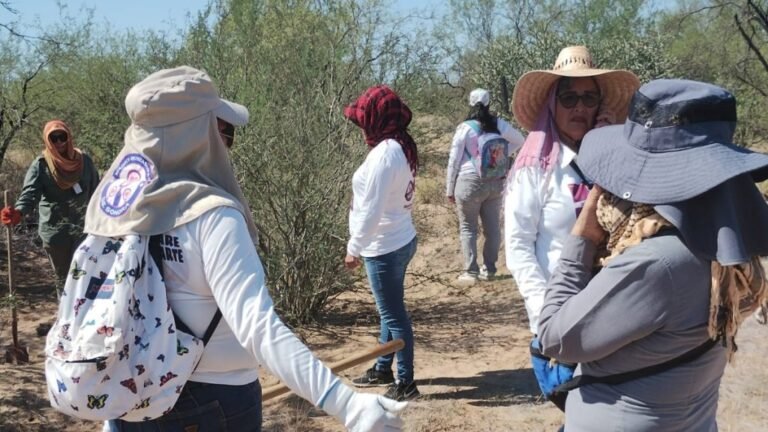 Madres Buscadoras de Sonora sufren ataque con disparos en supuesto punto de rastreo