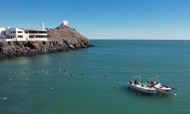 Pesca de camarón en norte de México amenaza a disminuida población de la vaquita marina