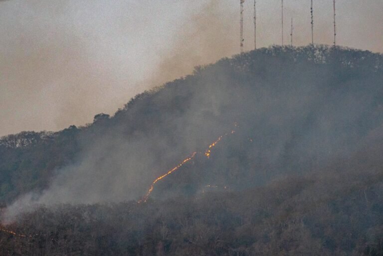 México registra 120 incendios forestales activos, un incremento diario del 26 por ciento