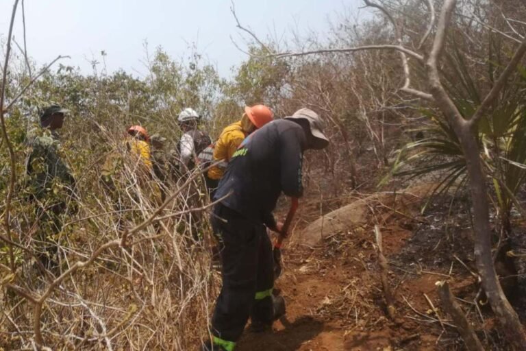 Conafor reporta 100 incendios forestales activos en México