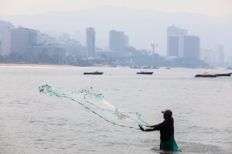 Oceana denuncia que la acción de México contra la pesca ilegal atiende 1 por ciento del problema