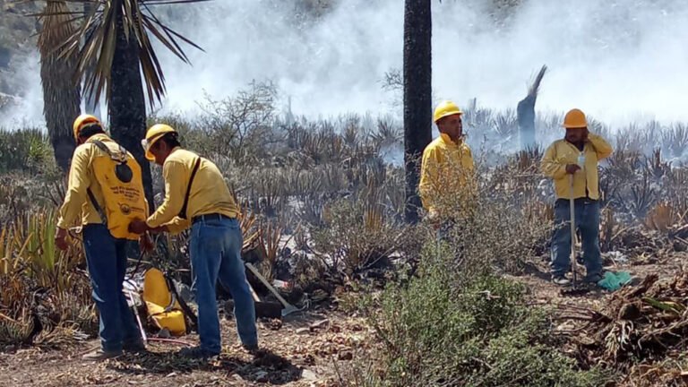 Incendio en Tamaulipas avanza hacia NL; suma 15 hectáreas afectadas
