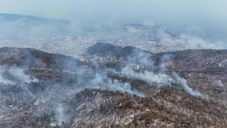 Incendios forestales azotan a Acapulco tras seis meses del huracán Otis