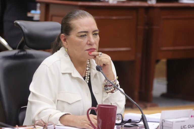 INE aún no recibe suspensión contra elección del PJ; Taddei adelanta análisis jurídico