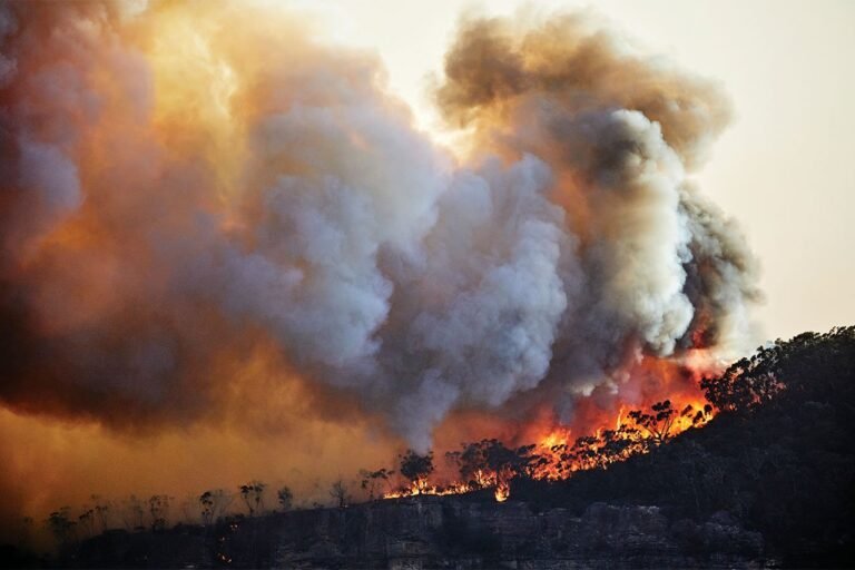 El futuro del diálogo sobre el cambio climático de la ONU, amenazado por déficit presupuestario