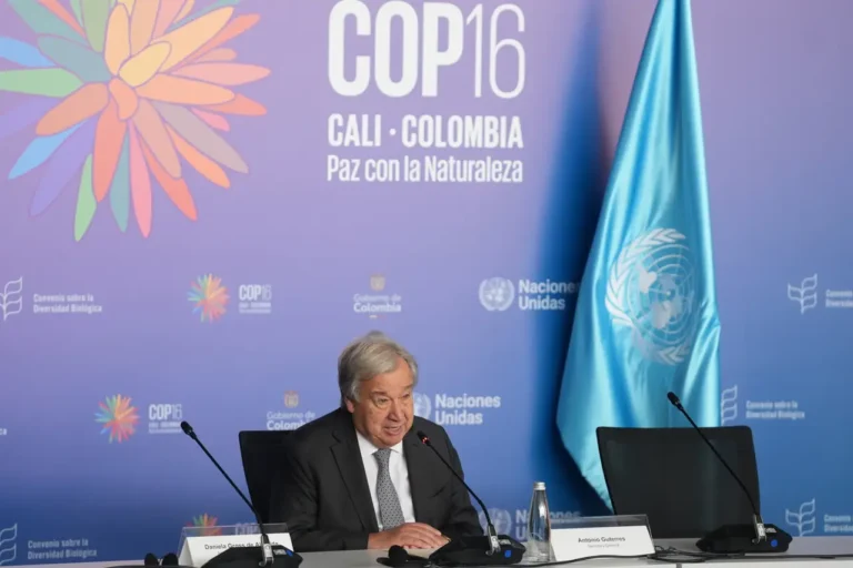 Guterres se muestra ‘bastante optmisita’ en que habrá consenso en COP16 para combatir crisis climática