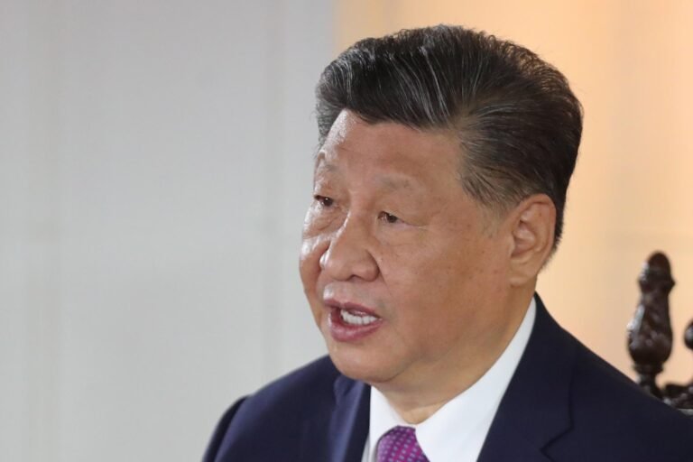 Milei y Xi Jinping buscarán ampliar sus relaciones comerciales