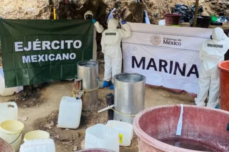 Destruyen laboratorio clandestino en Topolobampo, Sinaloa