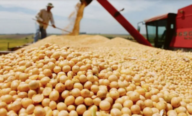 Aranceles europeos a cereales de EU impactarán a sector ganadero: asociación