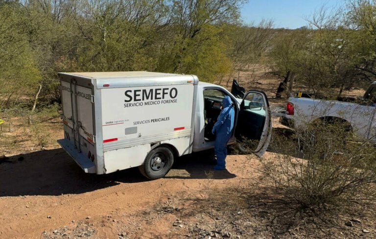 Gobierno de Sheinbaum resalta disminución del 15% en homicidios dolosos